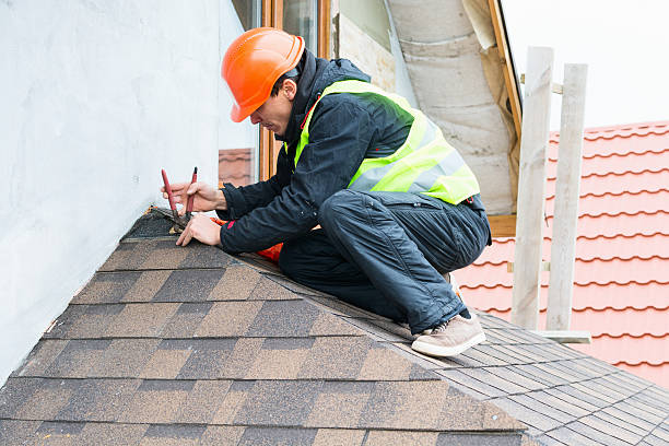 Best Local Roofing Companies  in Abaster, AL